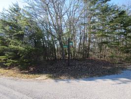 10 Laurelton Ct Court