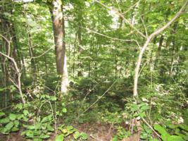 Lot 14 Austin Lake Rd