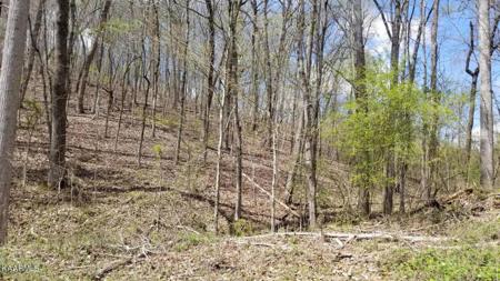 Lot 286 Maple Drive