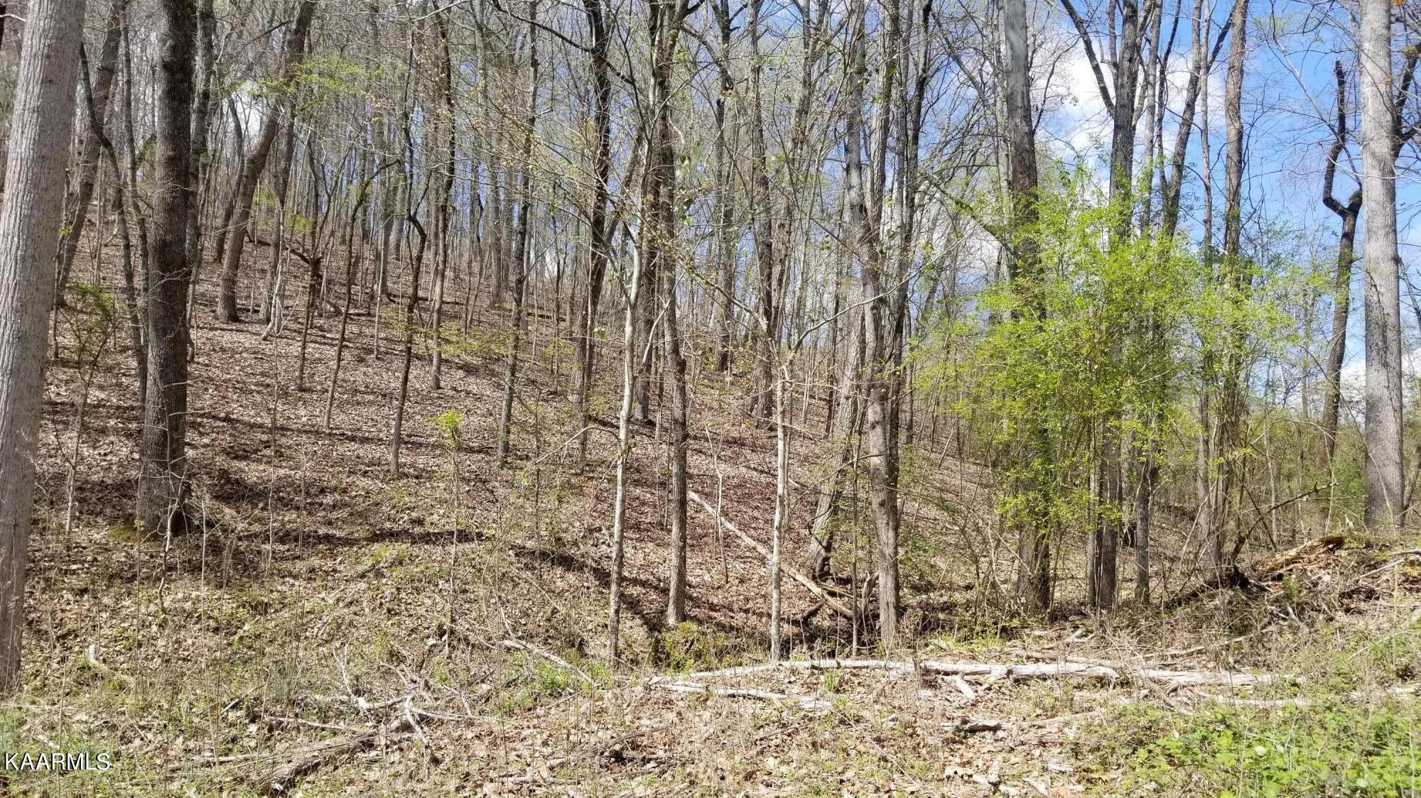 Image 1: 1