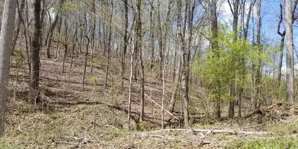 Lot 286 Maple Drive