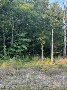 219 Bainbridge Rd Rd
