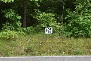 Image 1: Lot 103