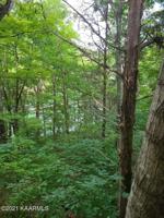 960 Cool Branch Rd
