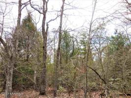 Lot 169 Seca Drive