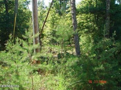 175 Pineridge Loop