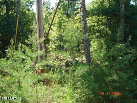 Image 1: 175 Pineridge Loop
