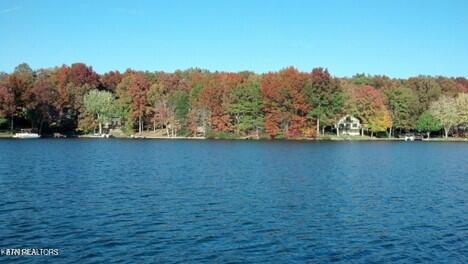 Image 2: Fairfield Glade Lake