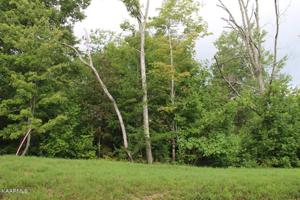 Lot 56 W. Poplar Lane