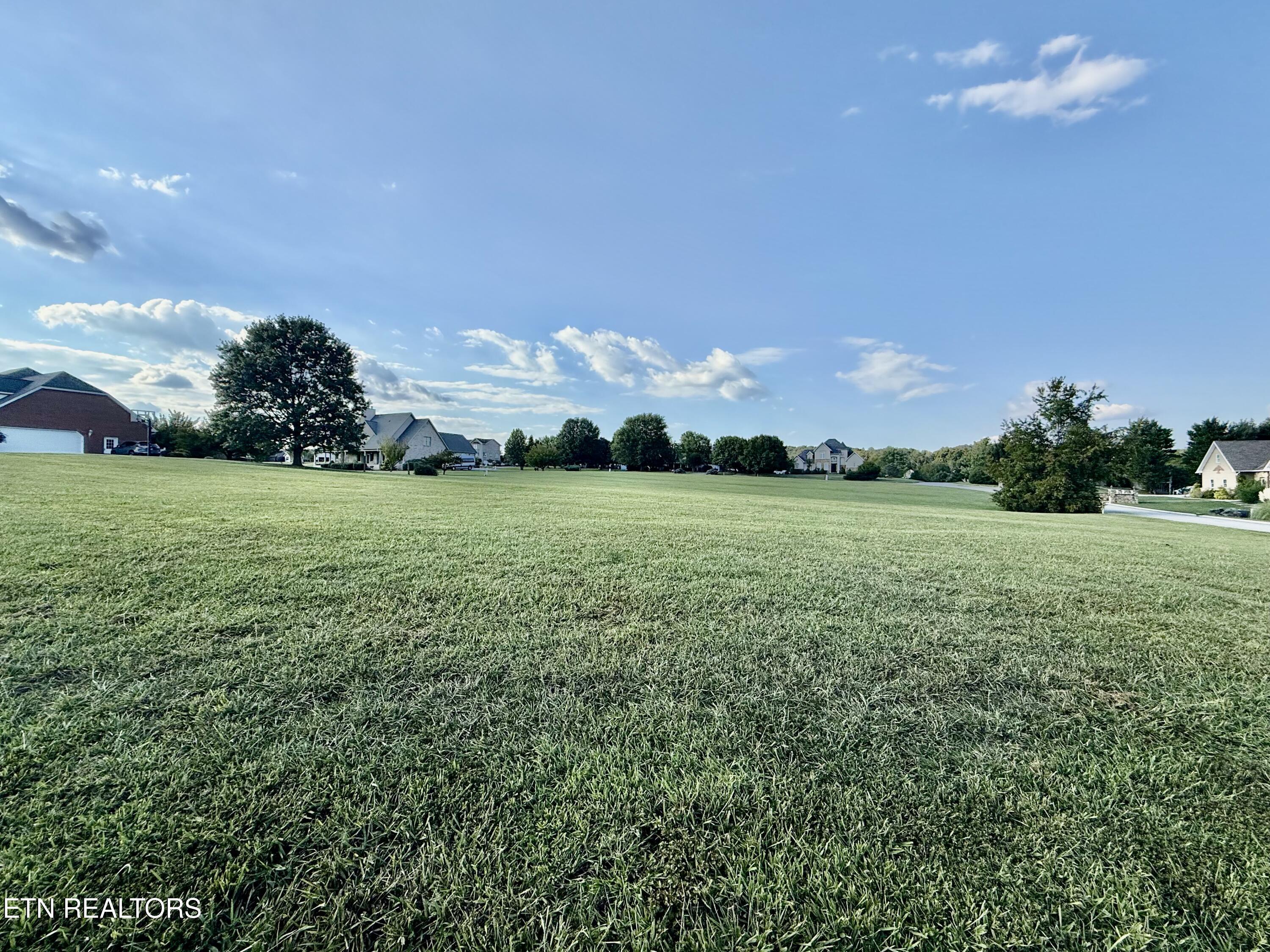 Image 2: IMG_7205