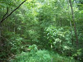 Highway 129, Parcel 13.00