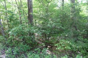 Lot 13 Grace Ridge Rd