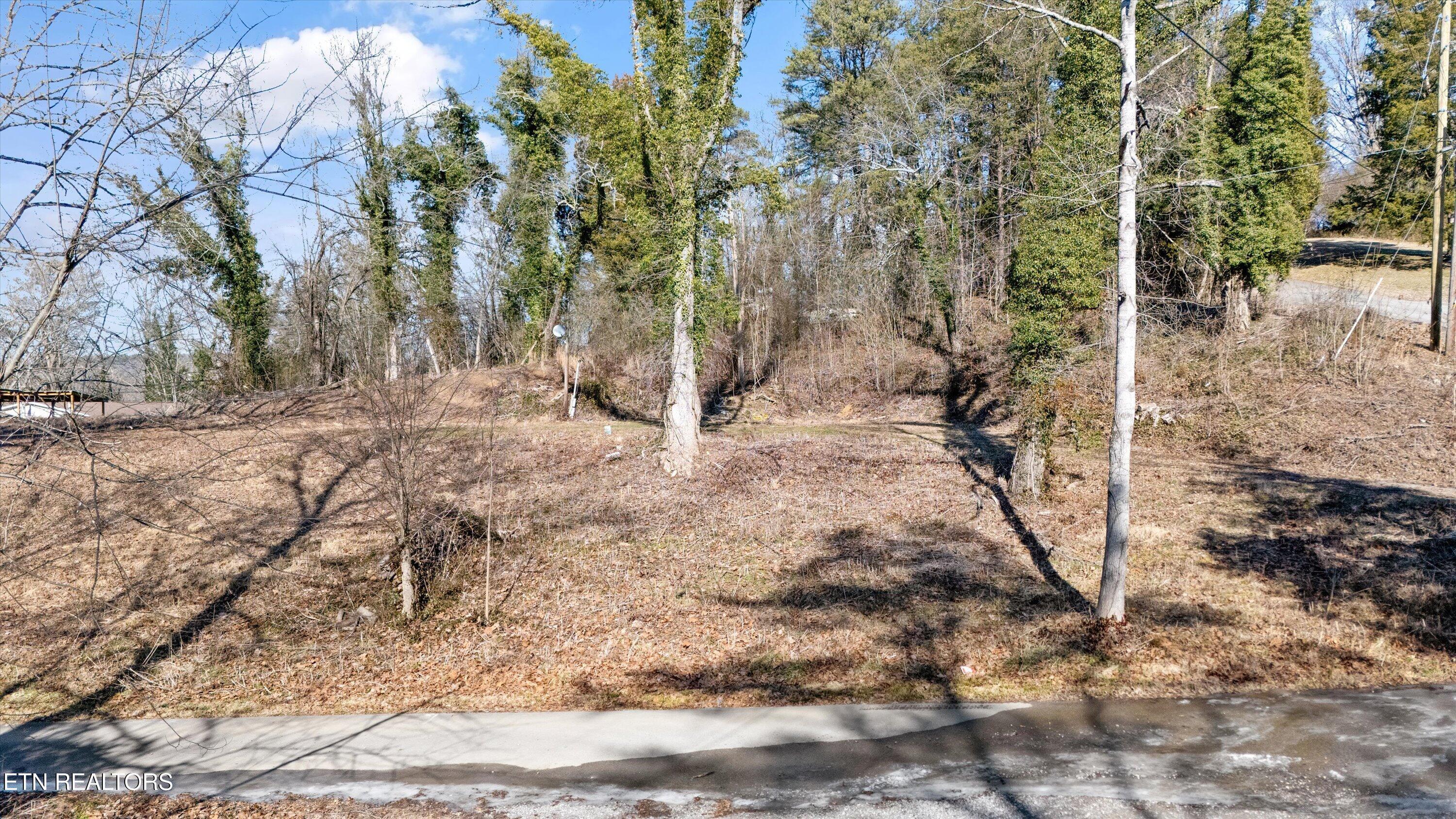 Image 4: 05-9136 Solway Ferry Rd01