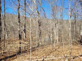Lot 26 Hayden Drive