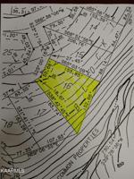202 Amohi Trace