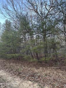 313 Bainbridge Rd