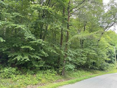 Cove Norris Rd