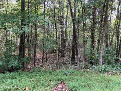 Lot 1129 Cove Lane