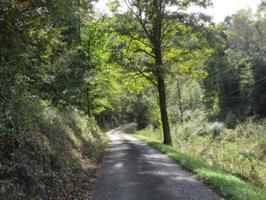 181 Rocky Hollow Rd