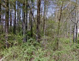 6022 Running Creek Drive