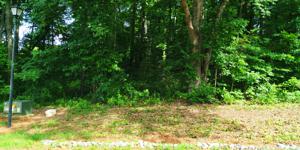 Lot 105 Cherokee Drive