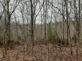 Lot 210 suncrest Cove