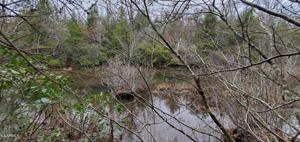 Lot 2 N Laurel Loop