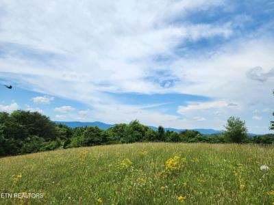 Hiwassee Drive
