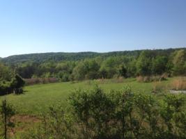 Lot 5 Welch Rd. 5