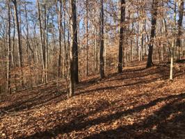 Lot 36 Rocky Top Rd 36