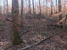 Lot 37 Rocky Top Rd 37