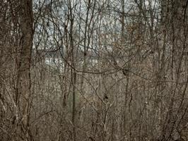 Lot 36,37,38 Old Citico Rd