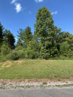 Wilderness Drive