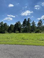 Wilderness Drive