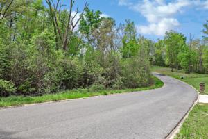 Lot 8 Cypress Drive
