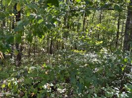 4 acres Cope Cemetery Rd