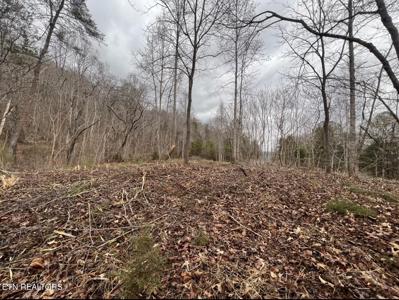 Norris Bend Lane
