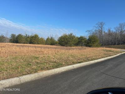 117 Scenic View Lane