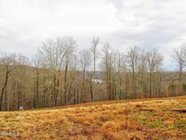 Lot 613 Prestige Ridge