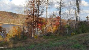 Lot 226 Suncrest Cove