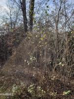 Lot 113 Harness Lane