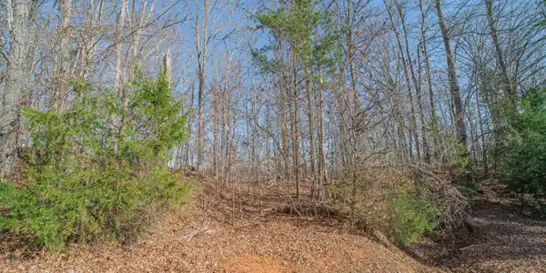 Sheerwater Rd