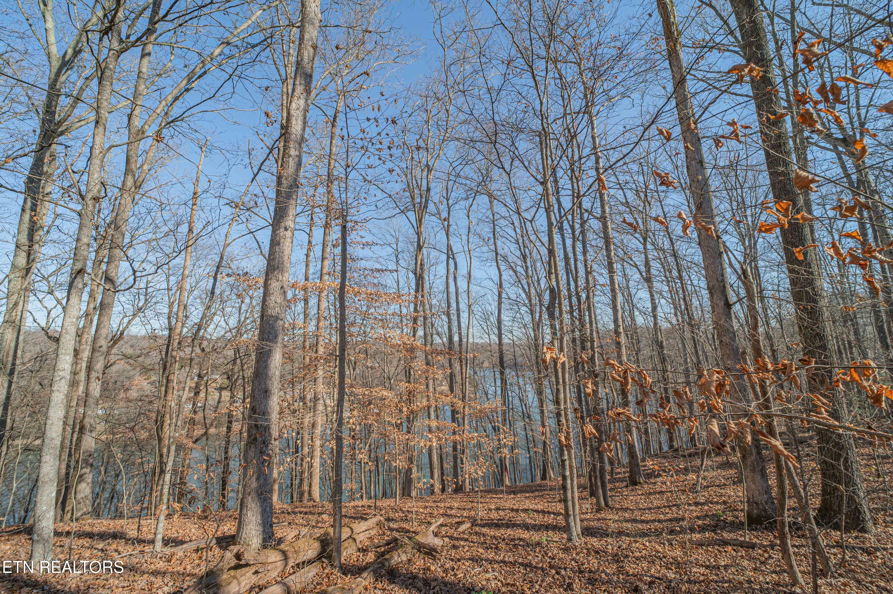 Image 2: Sheerwater