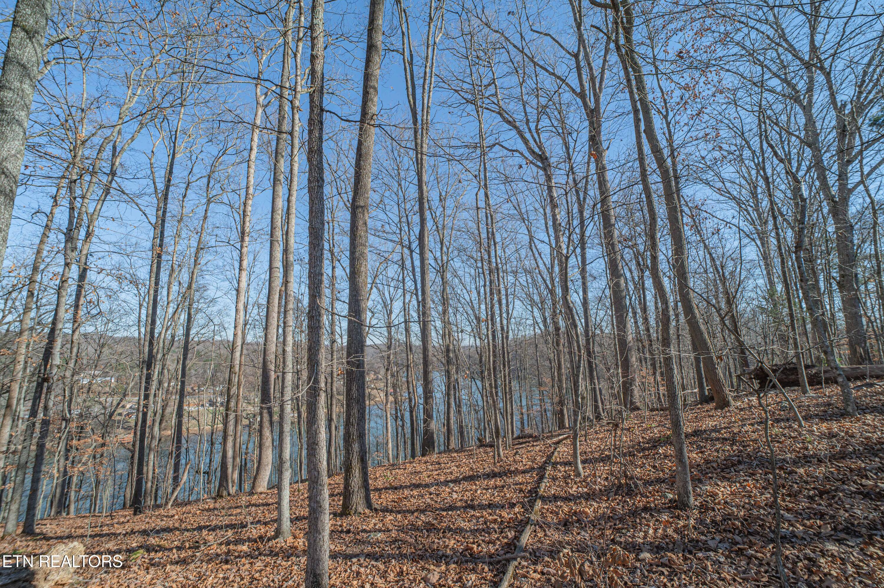 Image 4: Sheerwater