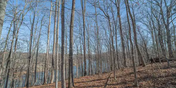 Image 4: Sheerwater
