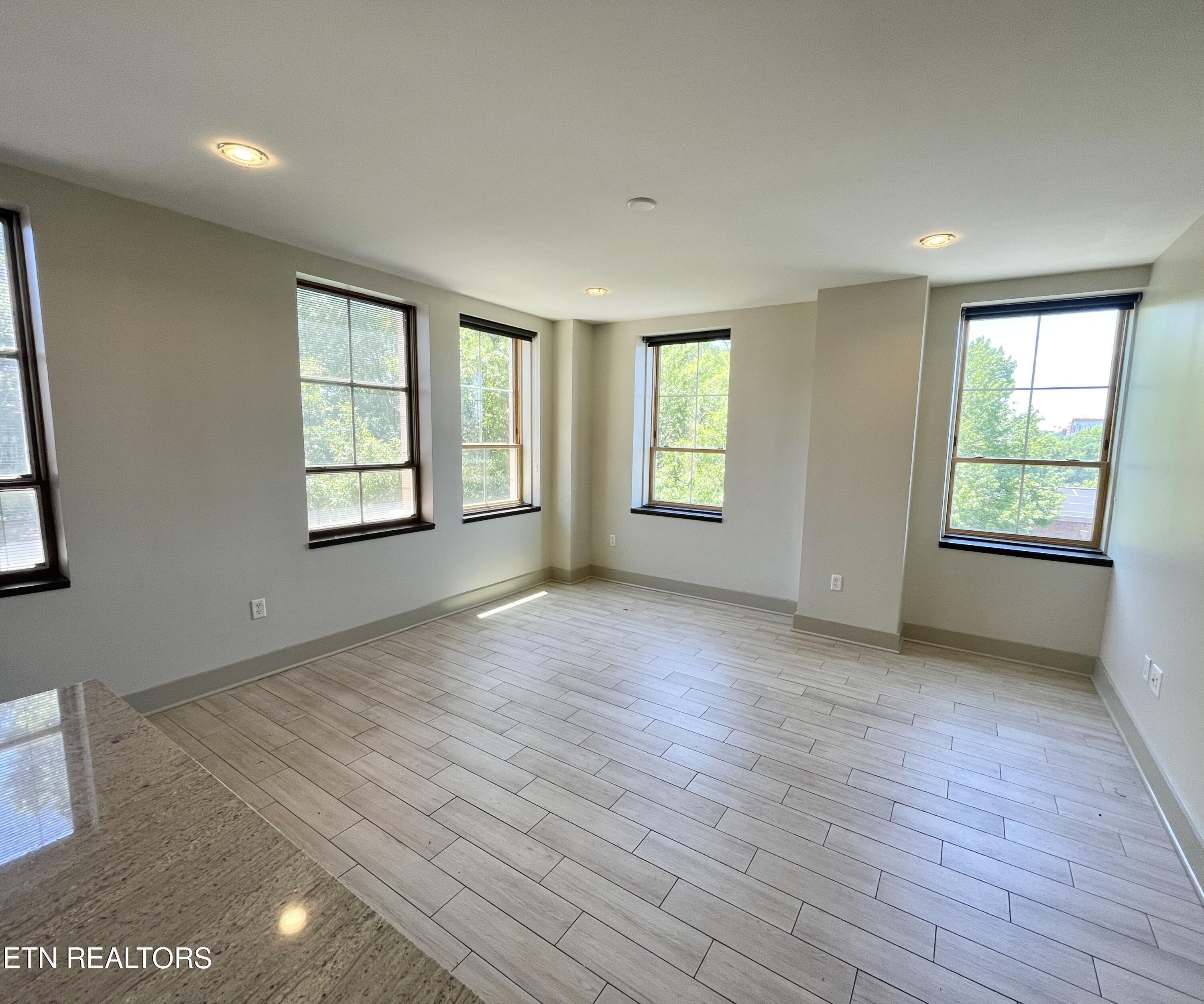 Image 4: Living Room