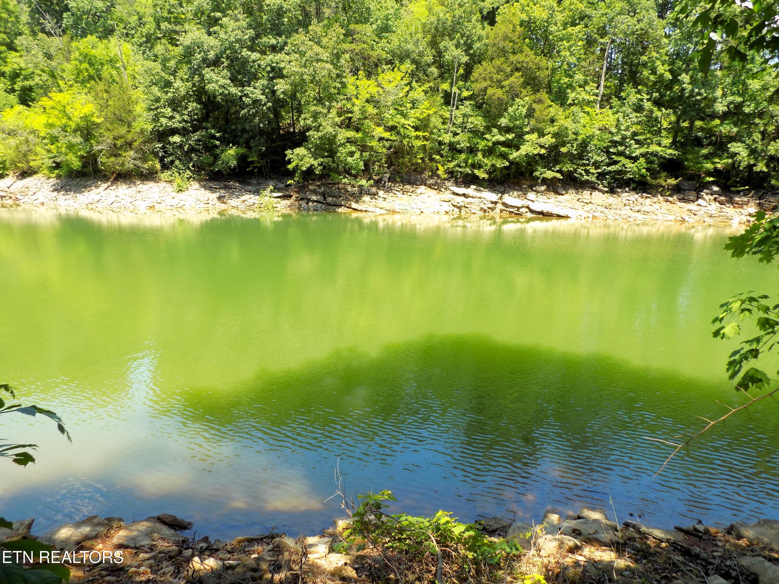 Image 2: Lot 13