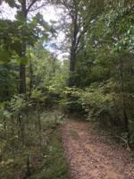 Old Citico Rd Rd