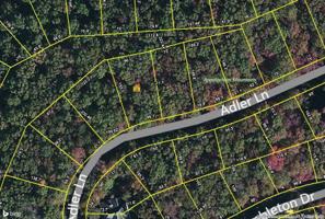 113 Adler Lane 137