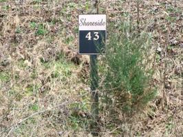Lot 43 Center Hill Shores 43